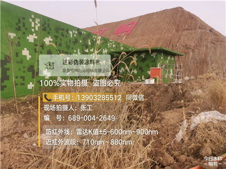 河北星空迷彩墙施工队